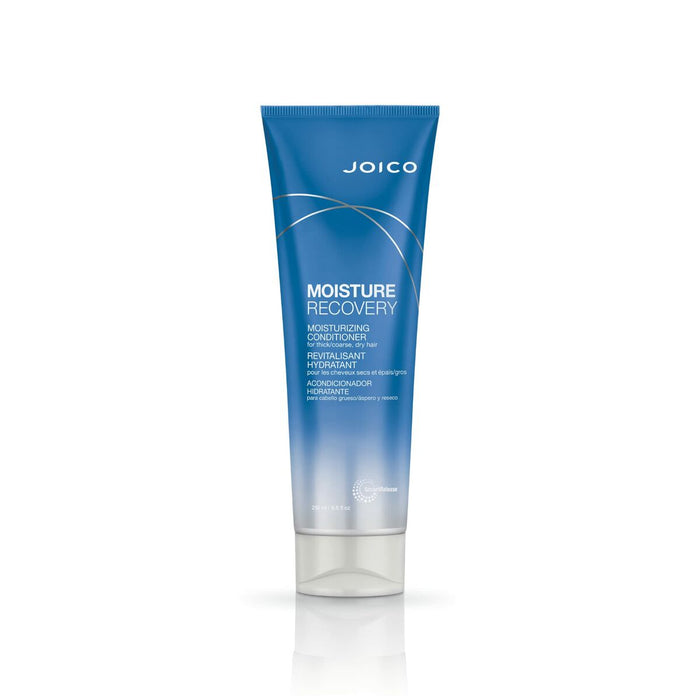 Acondicionador Joico Moisture Recovery 250 ml