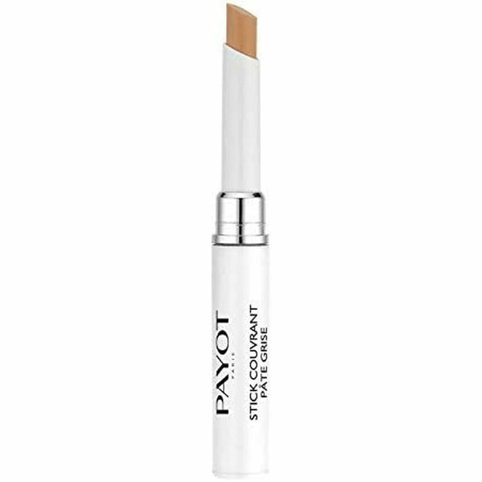 Lápiz Corrector Payot 6 ml