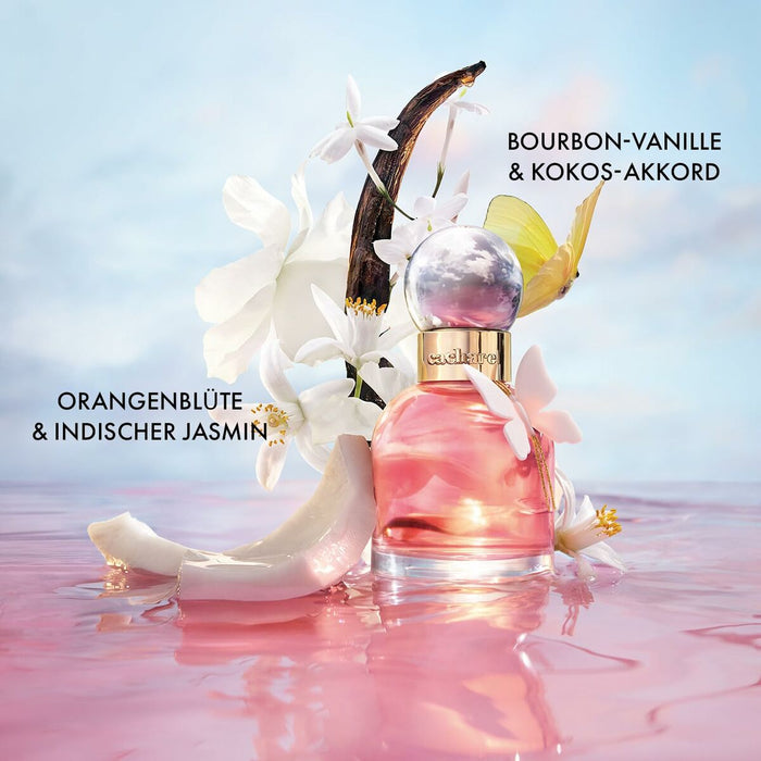 Perfume Mujer Cacharel ELLA ELLA 100 ml