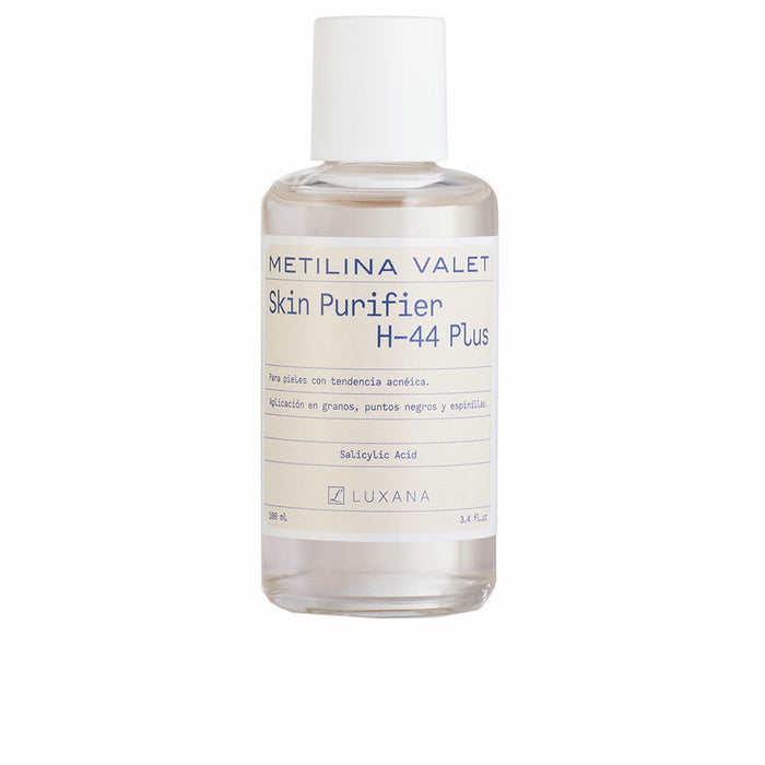 Brocha de Maquillaje Metilina Valet METILINA VALET 100 ml