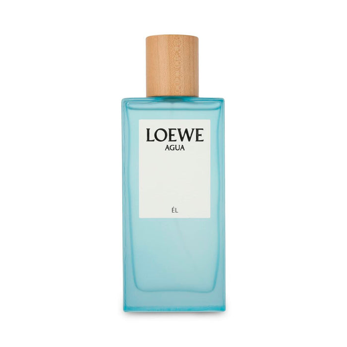 Men's Perfume Loewe Agua EDT 100 ml